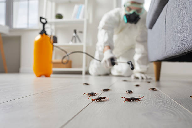 Trusted Fumigation Services service in Braddock Heights, MD - Nex Pest Control