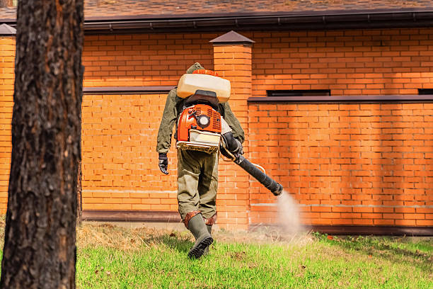 Trusted Termite Control service in Braddock Heights, MD - Nex Pest Control